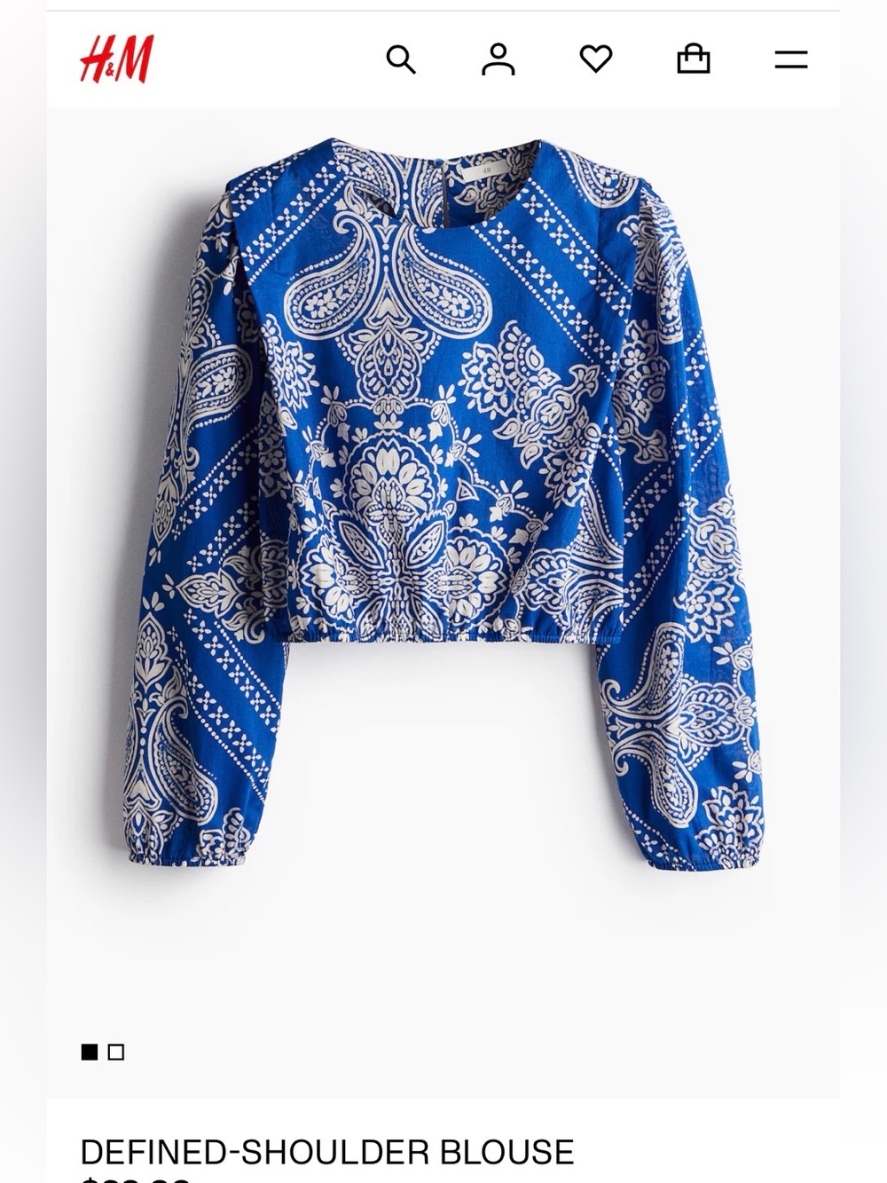 H&M Blue and White Paisley Cropped Top